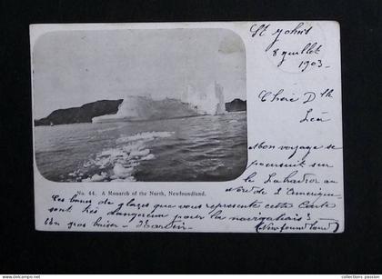 cp, Canada, Terre Neuve & Labrador, a Monarch of the North, Newfoundland, voir timbre et oblitération, dos simple, 1903