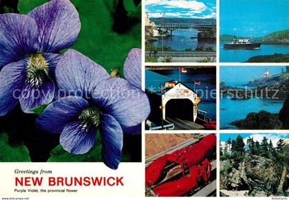 New Brunswick Nouveau Brunswick ---