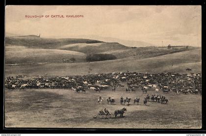AK Kamloops, Round-up of cattle