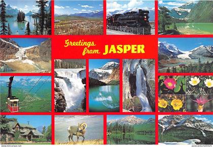 B33073 Jasper multi views  canada