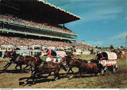Calgary Alberta Canada Calgary-Stampede Chuckwagon-Rennen Outrider Dekorierte-Wa