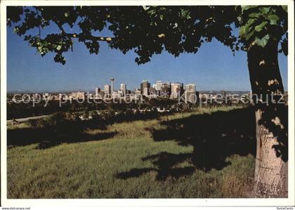 Calgary Panorama