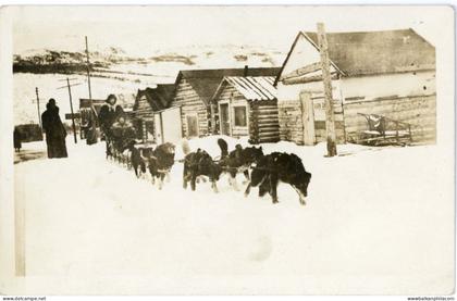 Canada Yukon Dogsledding photocard