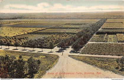 Lot138  scene at experimental farm brandon manitoba canada