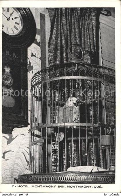 Montmagny Canada Vogelkaefig im Hotel Montmagny Inn