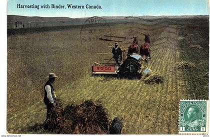 Carte  postale ancienne de WESTERN CANADA