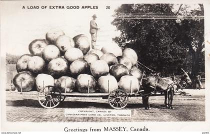 Massey Ontario Canada, Exaggeration Image Giant Load of Apples c1940s Vintage Postcard
