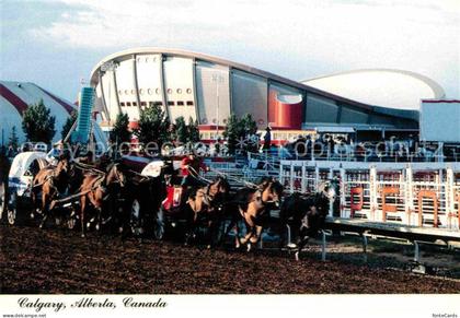 Calgary Pferdekutschenrennen