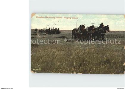 Saskatoon Pferdekutschen