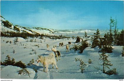 PC CANADA, NEWFOUNDLAND, LABRADOR MEDICAL TRIP, Modern Postcard (b61900)
