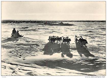 B16-1854 : ESQUIMAUX ESKIMOS   CHIENS DE TRAINEAU