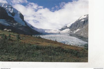 BF26872 the columbia icefields brithis columbia canada front/back image