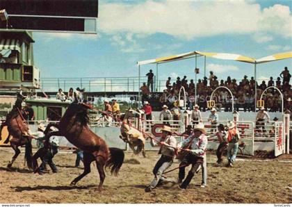 Calgary Alberta Canada Calgary-Stampede Wild-Horse-Race Cowboys Mustangs Rodeo A