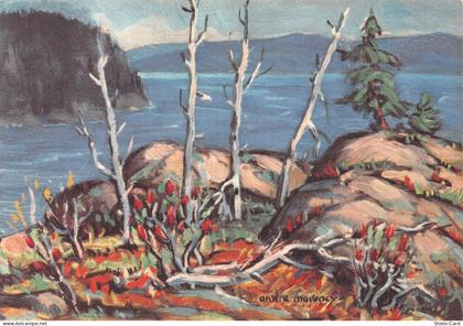 CANADA SAGUENAY VUE SUR LE SAGUENAY