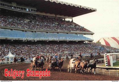 Calgary Alberta Canada Calgary-Stampede Chuckwagon-Rennen Arena Tribuene Zuschau