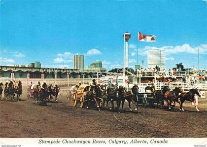 Calgary Alberta Canada Chuckwagon-Races Calgary-Stampede Rodeo Pferde Rennen Sky