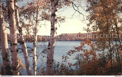 Muskoka Lakes Lake of Bays at autumn