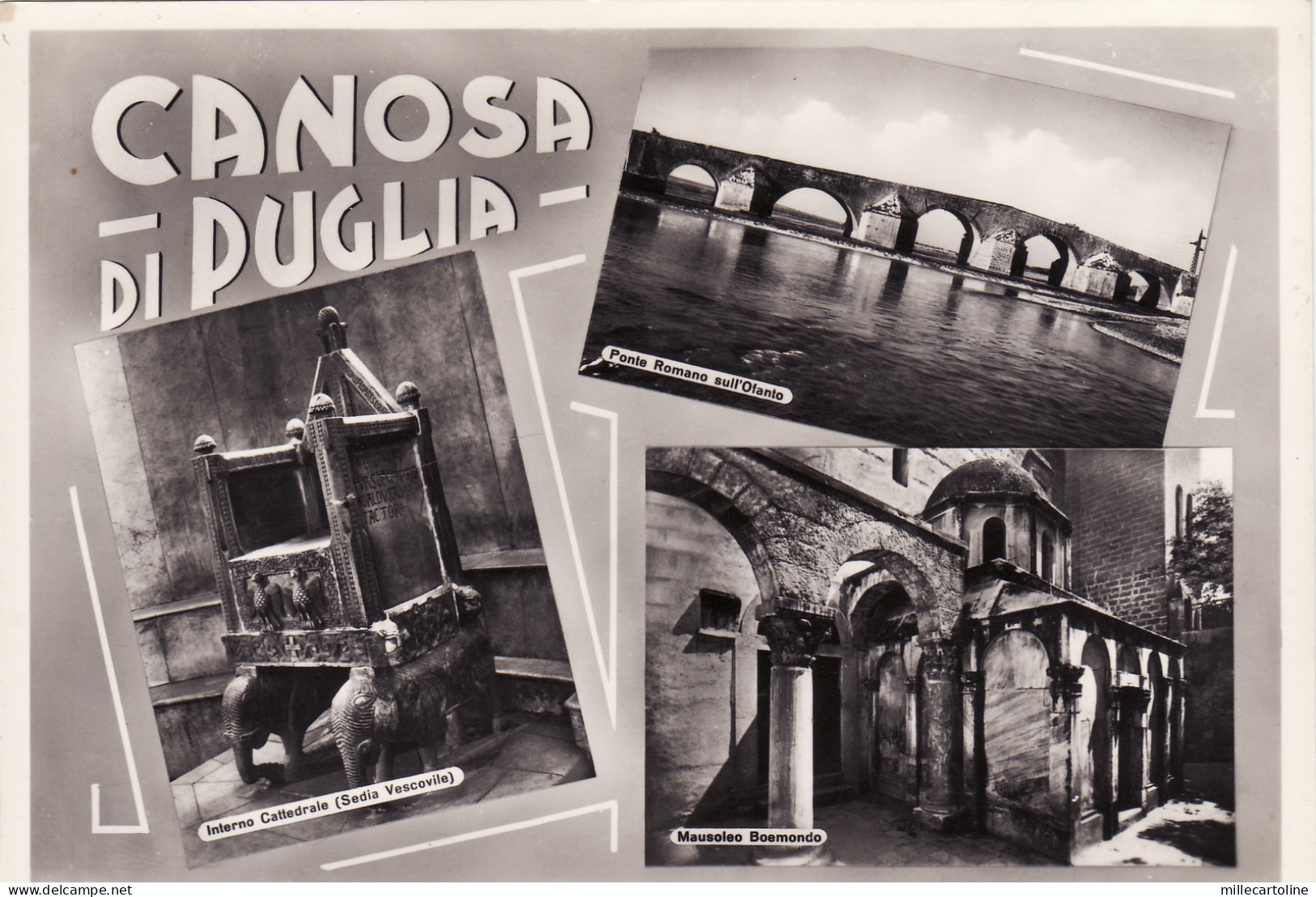 #CANOSA DI PUGLIA