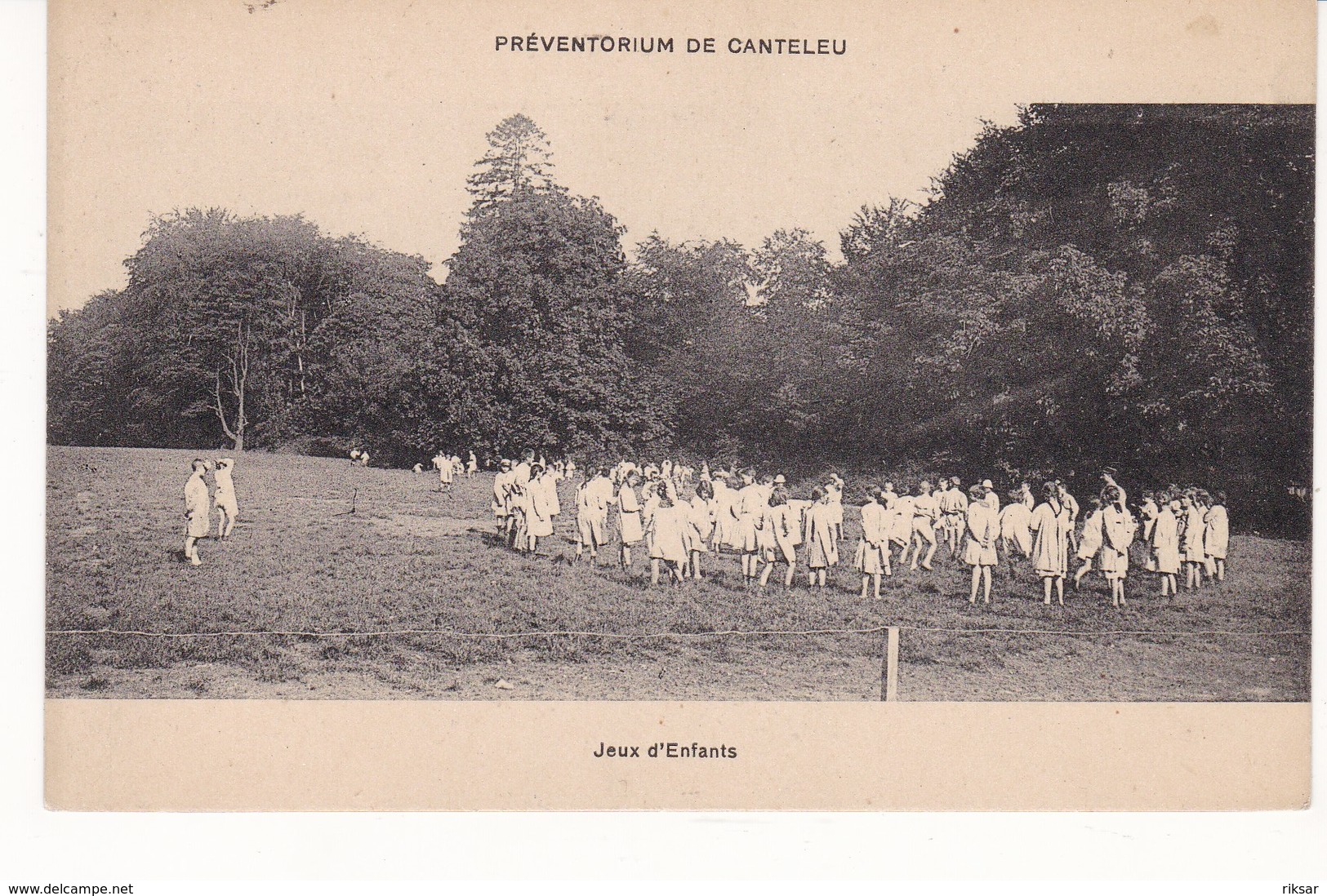 CANTELEU(ARBRE) GYMNASTIQUE