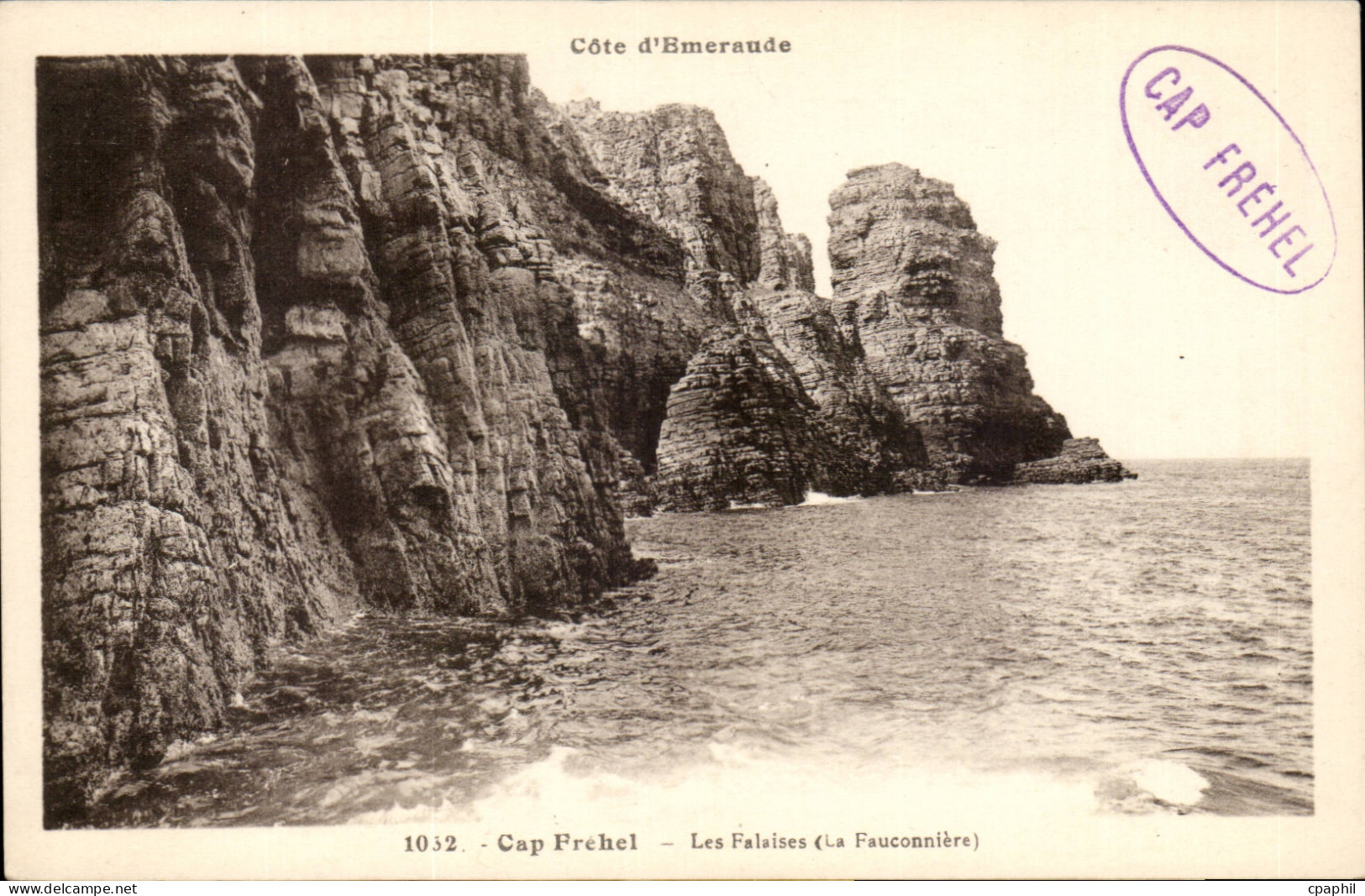 Cap Frehel CPA Les falaises (la fauconnerie)