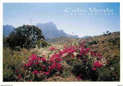 Carte Postale - Cap Vert - Cabo Verde - Ilha de Santiago - Fleurs - CPM - Voir Scans Recto-Verso - Poscard - Carta Posta