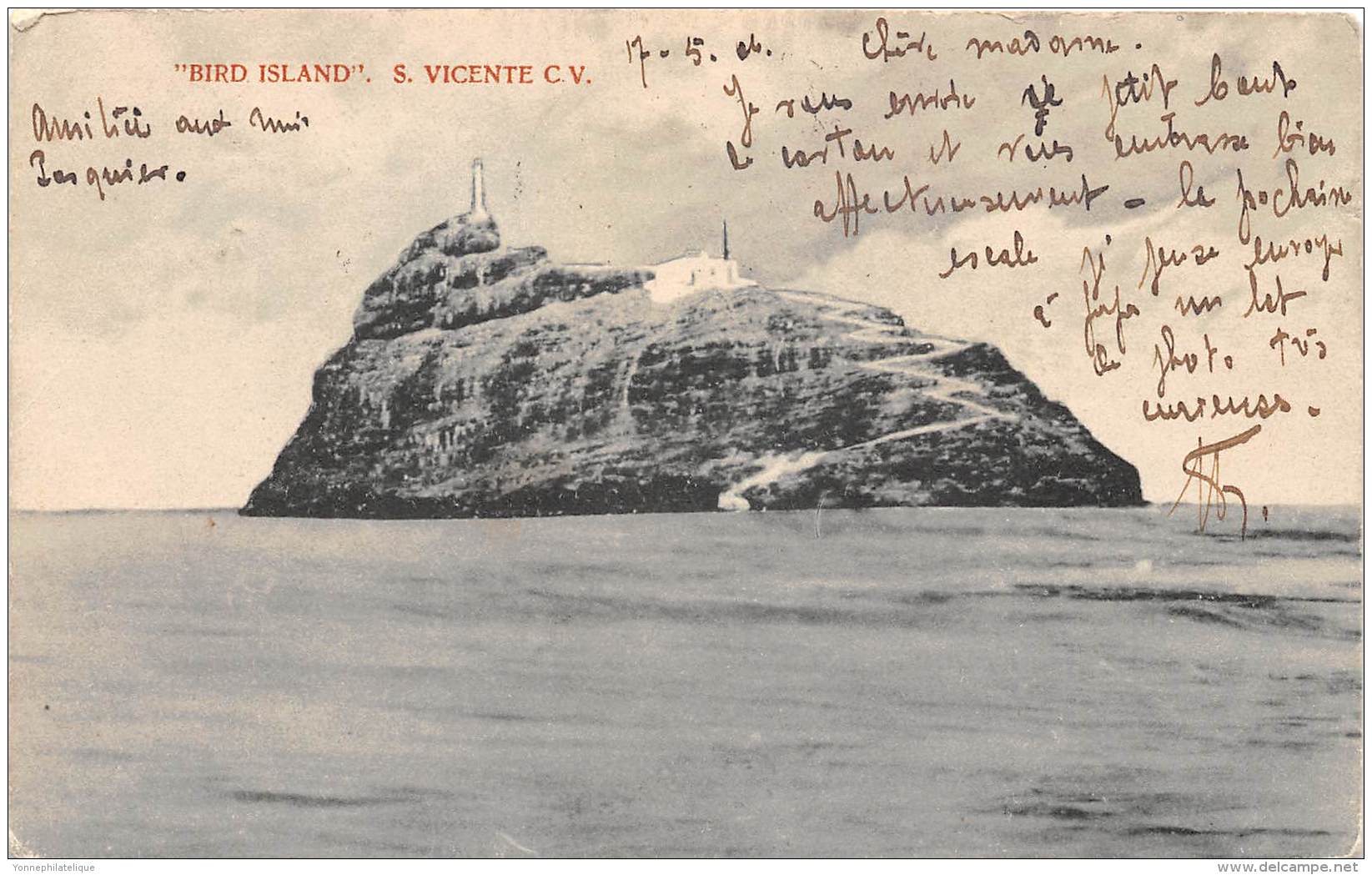 CAP VERT / Bird Island