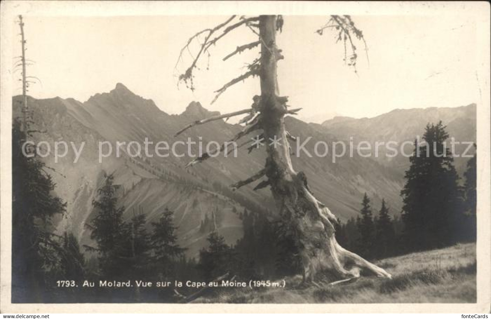 Cape au Moine Au Molard Vue sur la Cape au Moine