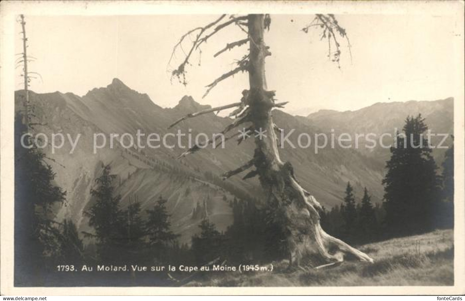 Cape au Moine Au Molard Vue sur la Cape au Moine