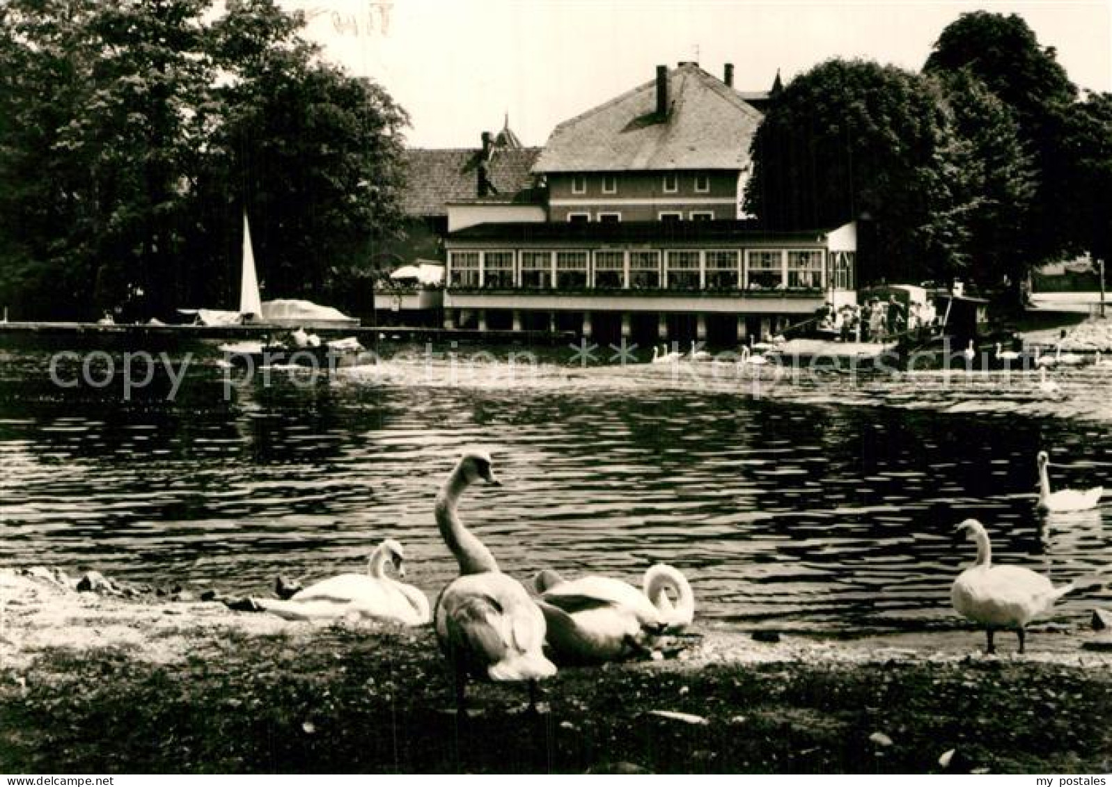 Caputh Gaststaette Cafe Faehrhaus