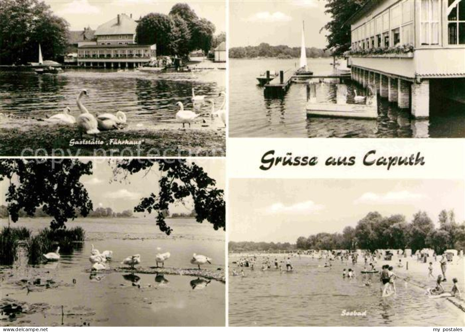 Caputh Gaststaette Faehrhaus Seebad