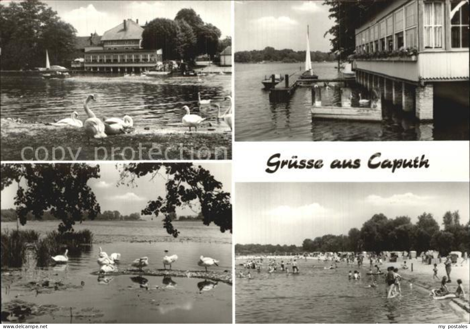 Caputh Restaurant Faehrhaus Seebad
