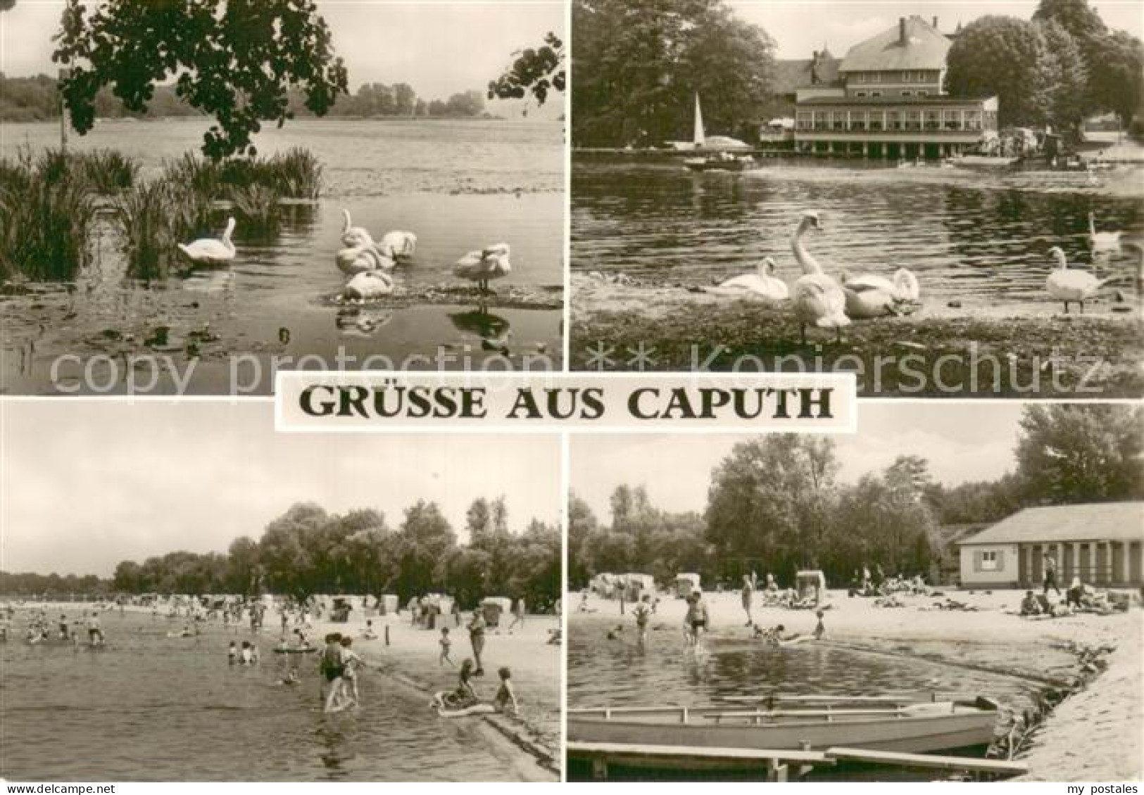 Caputh Schwanenteich Hotel Strandpartien