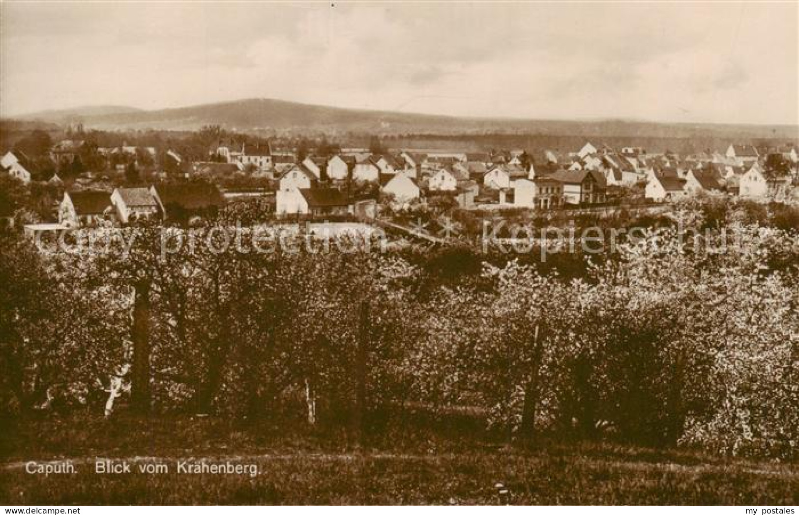 Caputh Schwielowsee Blick vom Kraehenberg