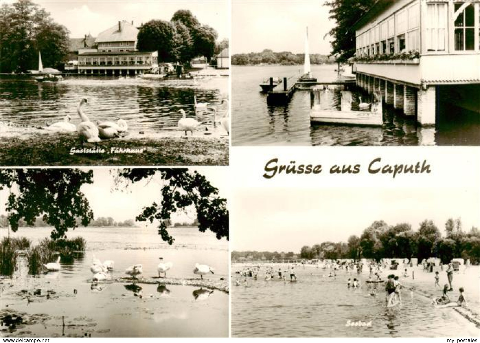 Caputh Schwielowsee Gaststaette Faehrhaus Seebad Schwaene Strand