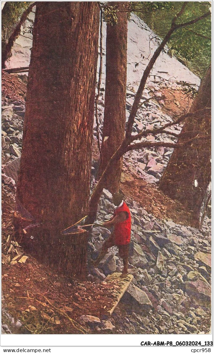 CAR-ABMP8-0760-ASIE - CHINE - Formose