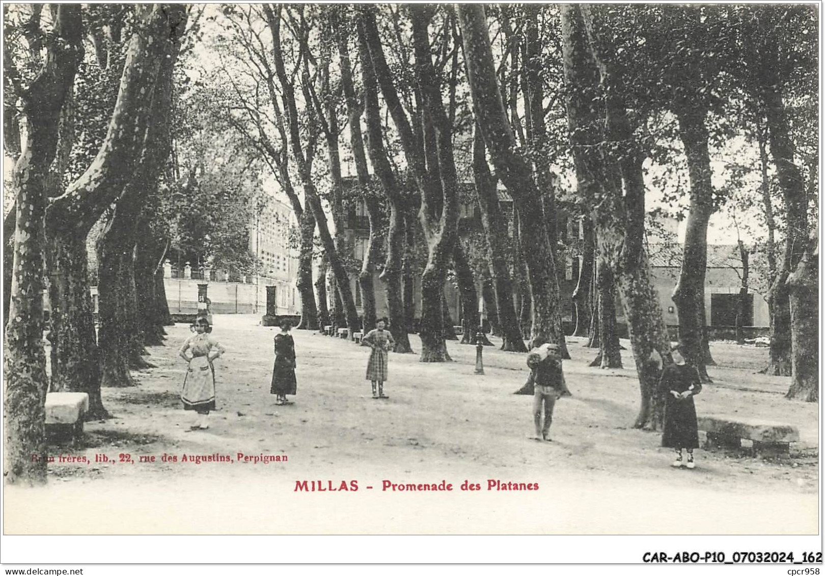 CAR-ABOP10-0935-66 - MILLAS - Promenade des platanes
