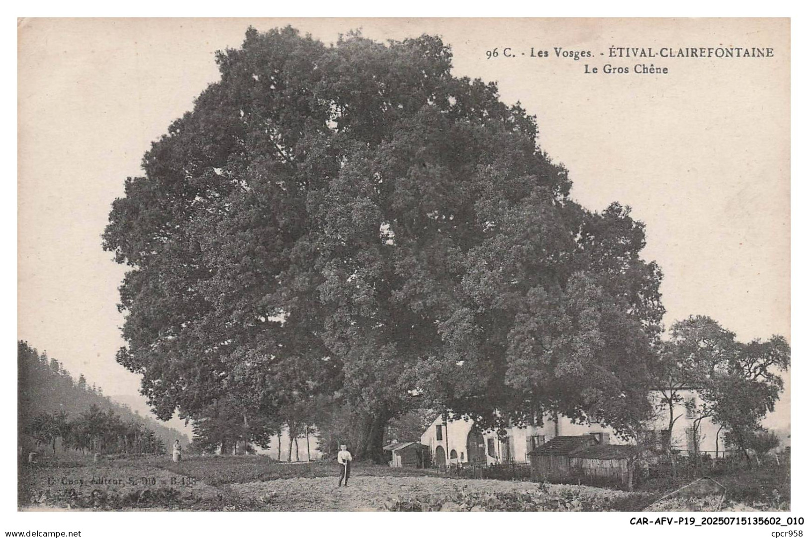 CAR-AFVP19-1015-88 - ETIVAL-CLAIREFONTAINE - Le gros chene