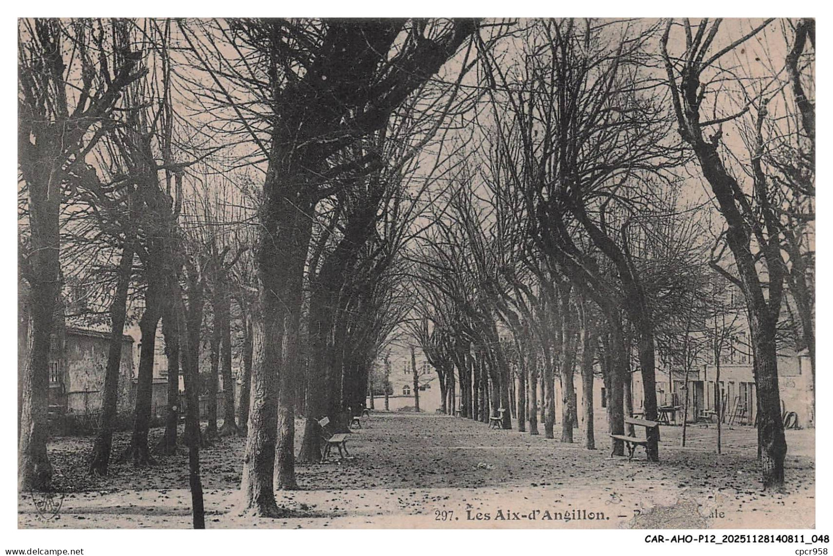 CAR-AHOP12-0612-18 - LES AIX-D'ANGILLON - Allée - Arbres