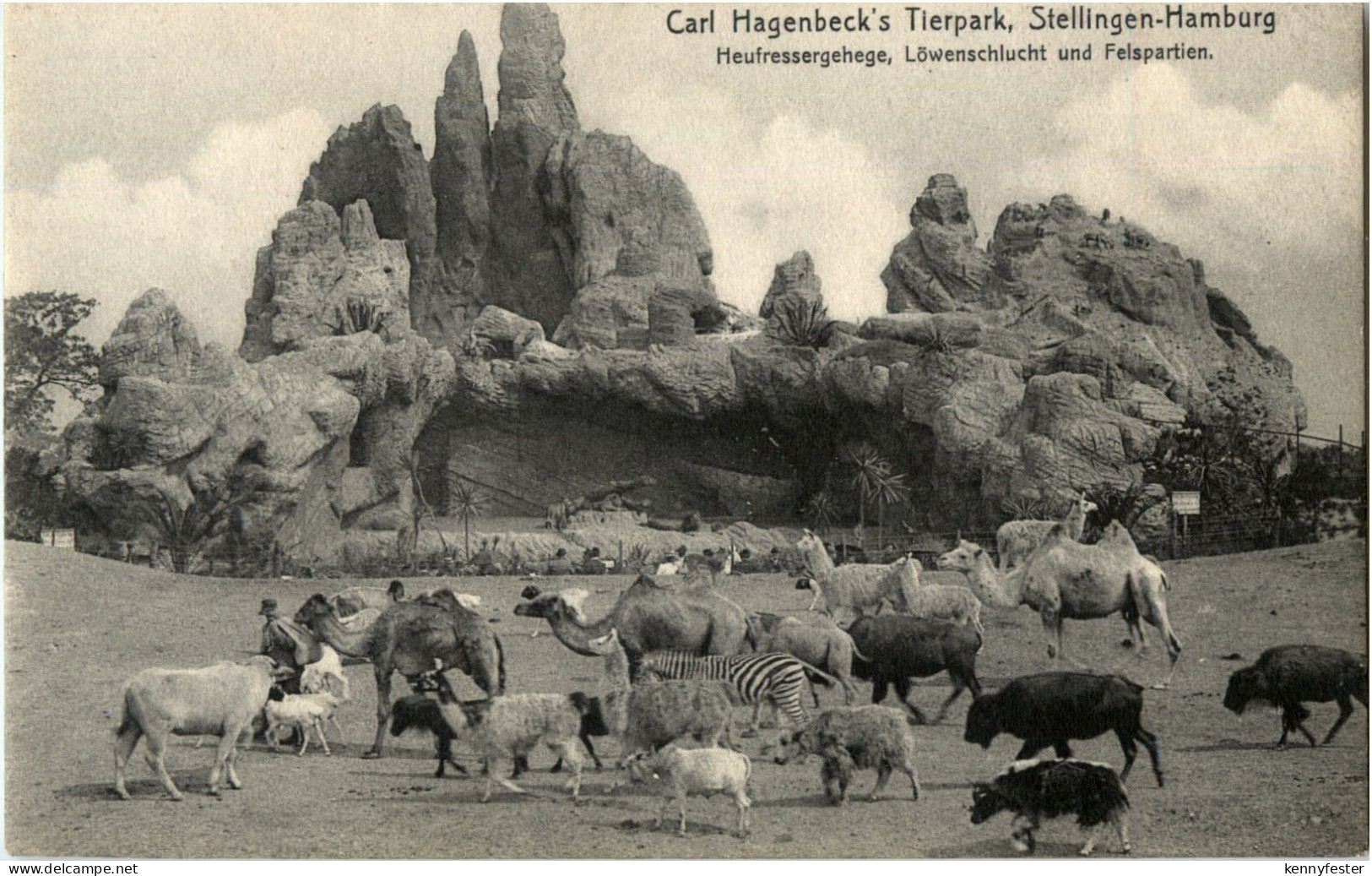 Carl Hagenbecks Tierpark Stellingen - Polarbear