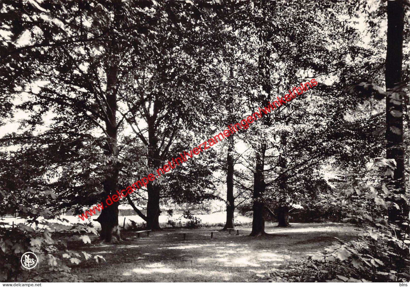 Carmel St-Joseph rustoord - Waregem