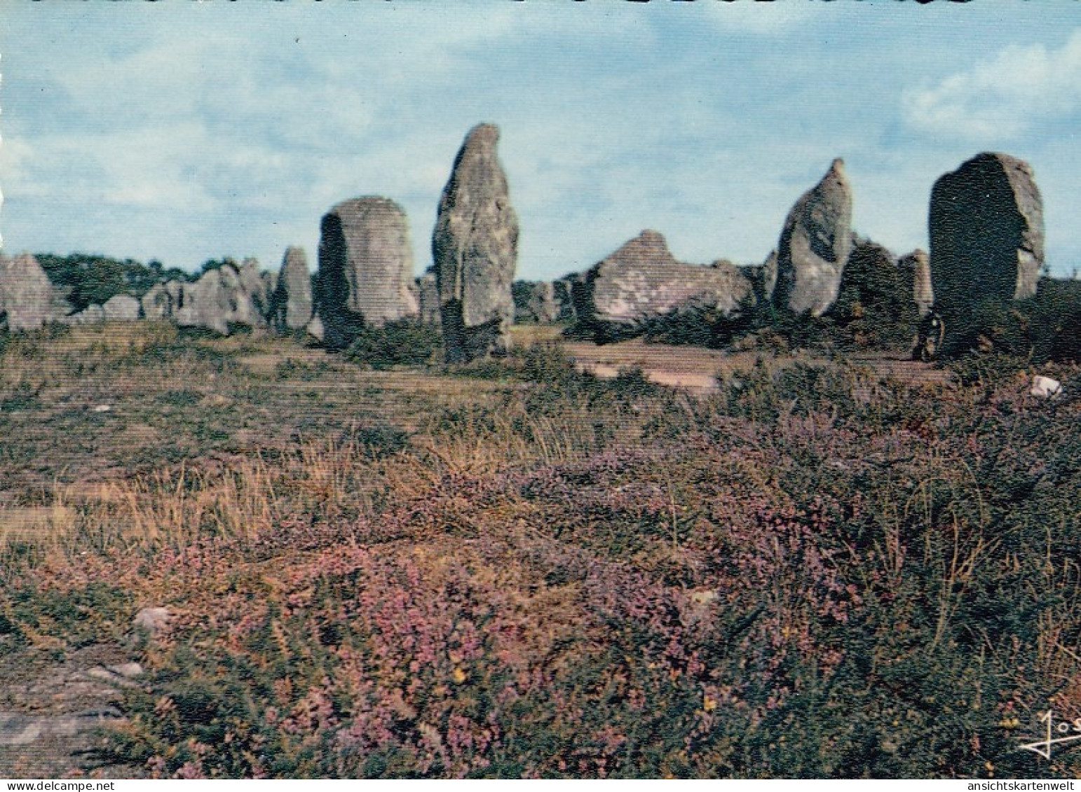 Carnac (Bret.) Les alignements du Carnac ngl #E0611