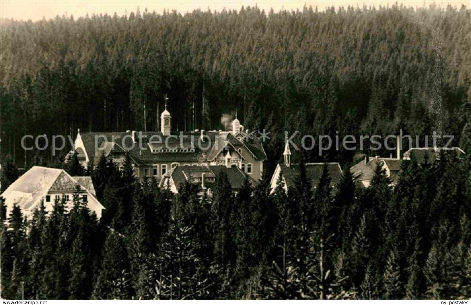 Carolagruen Schoenheide Erzgebirge bei Schoenheide