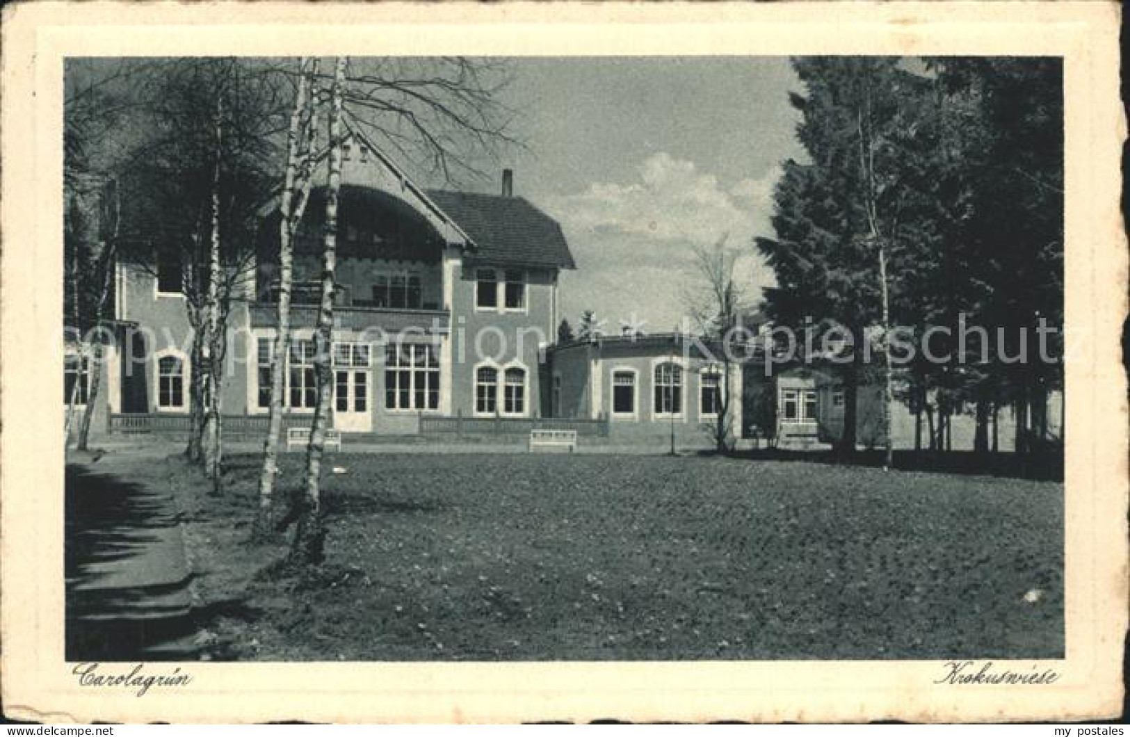Carolagruen Schoenheide Erzgebirge Heilstaette Krokuswiese