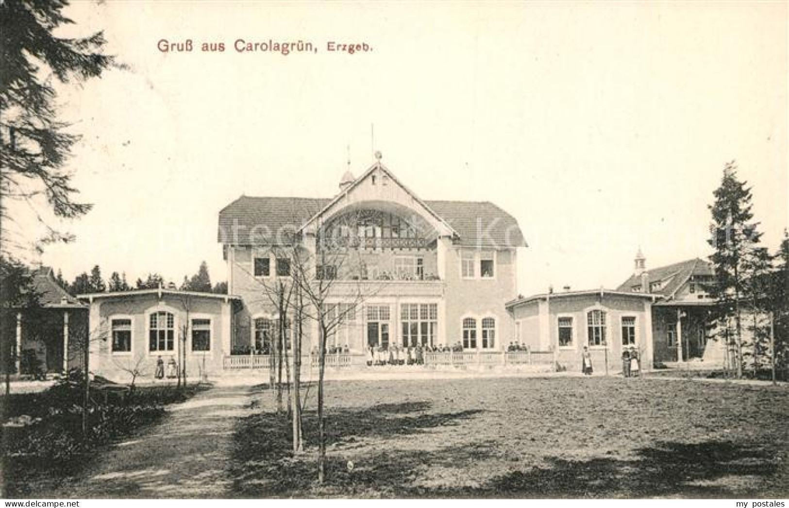 Carolagruen Schoenheide Erzgebirge Hotel