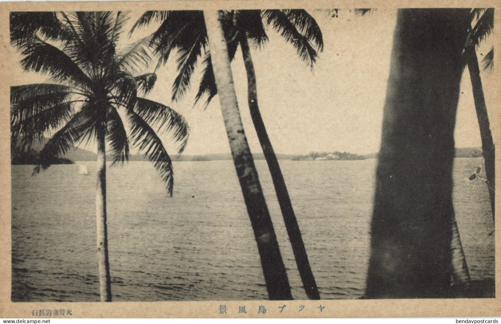 Caroline Islands, Yap Island, View between Palm Tree (1910s) Micronesia Postcard
