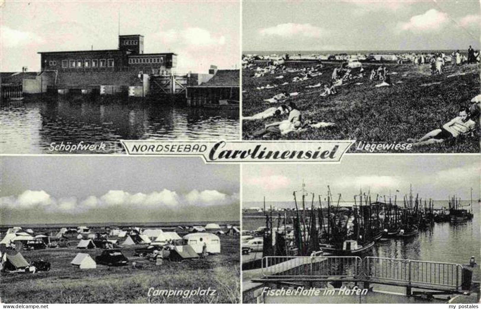 Carolinensiel Ostfriesland Wittmund Niedersachsen Schoepfwerk Liegewiese Camping