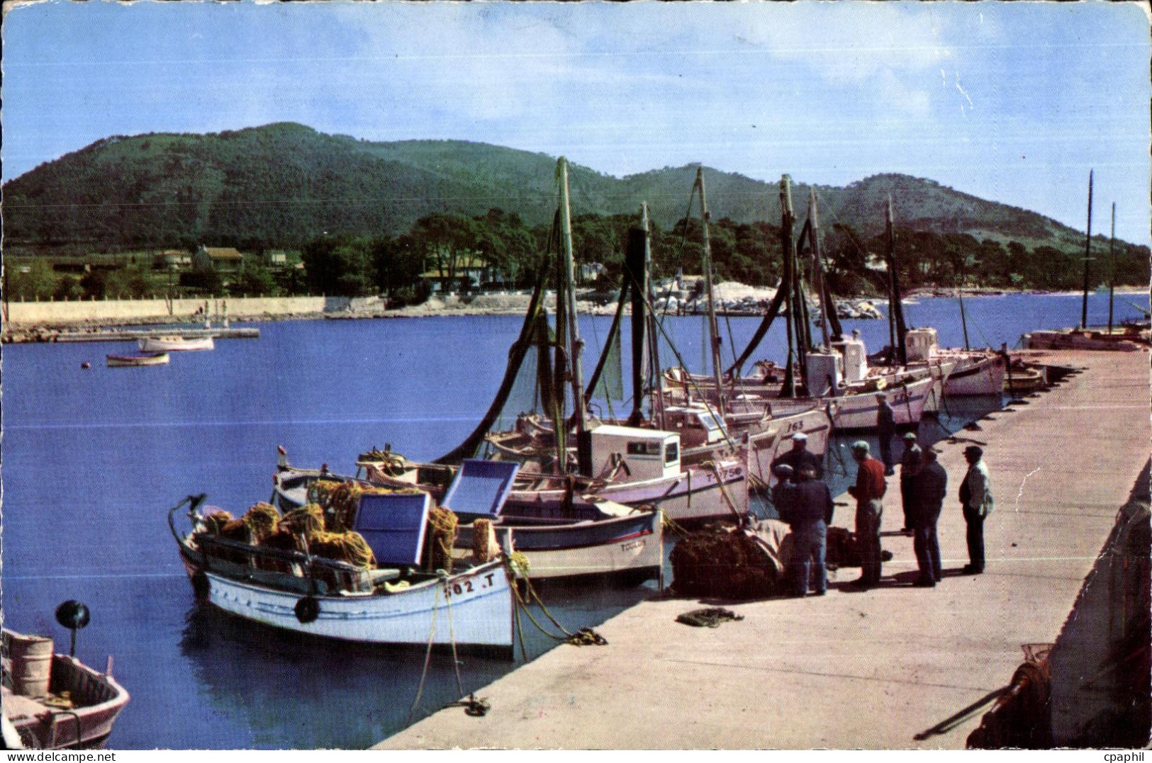 Carqueiranne - Le Port - CPA