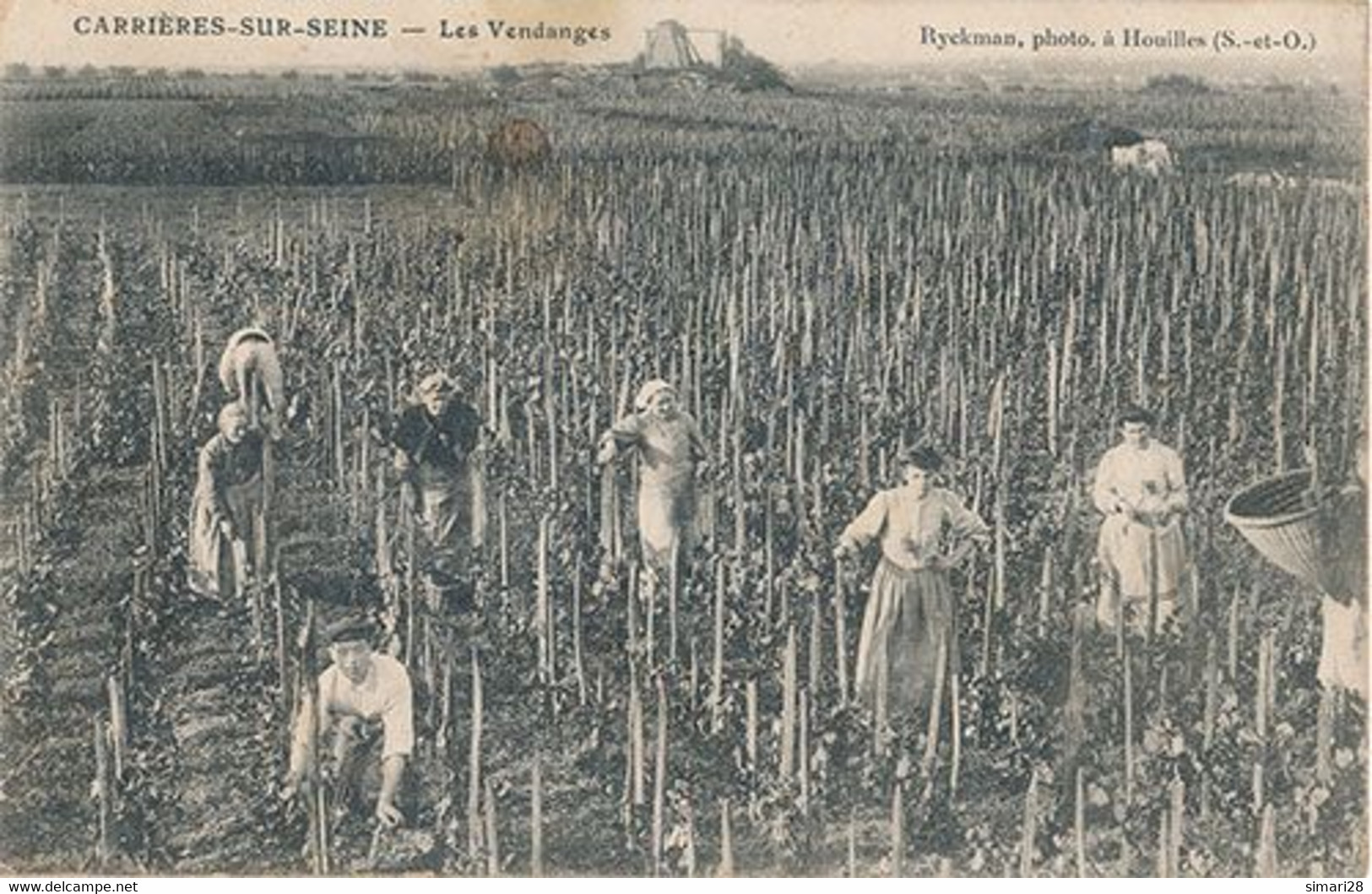 CARRIERES SUR SEINE - LES VENDANGES