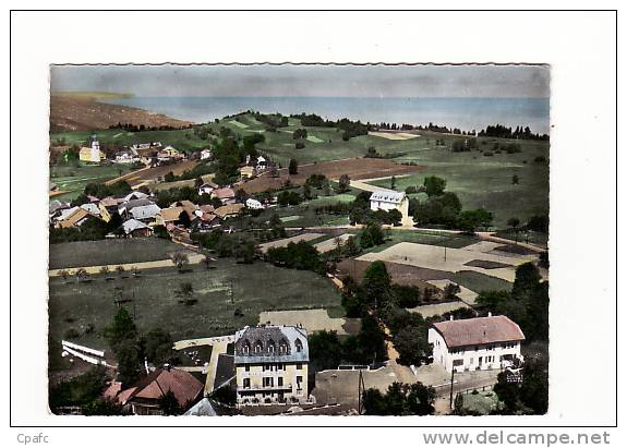 carte 1960 THOLLON / VUE GENERALE