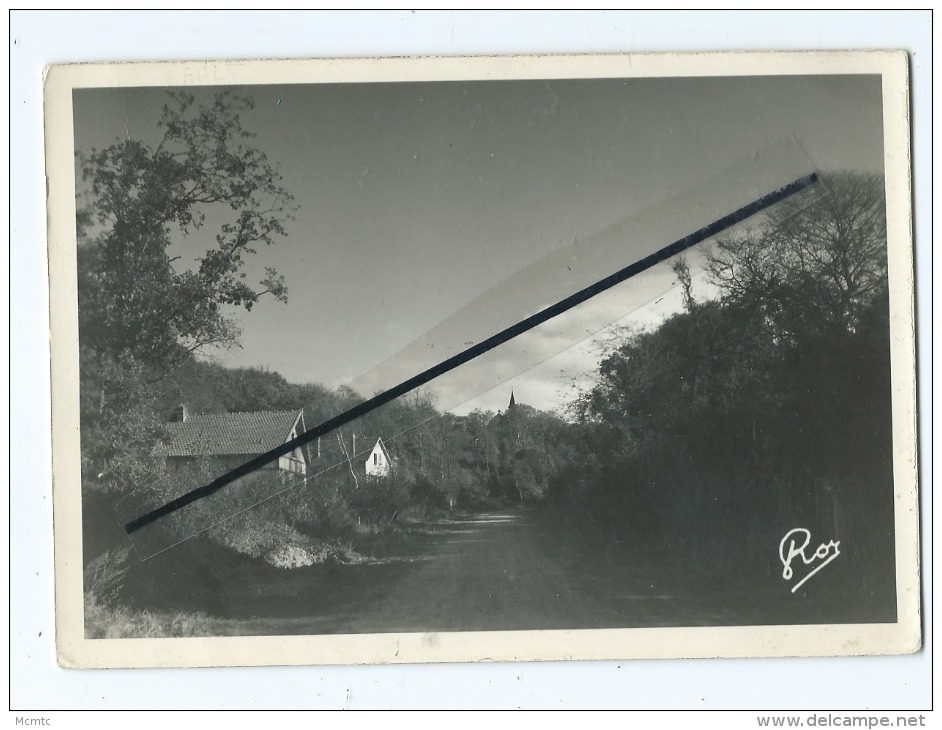 Carte -  Ault Onival  - Le Bois de Cise